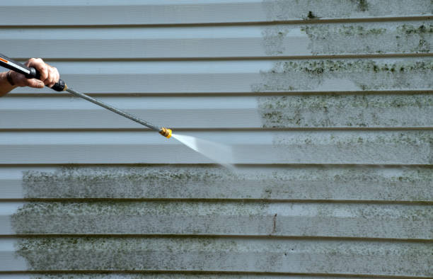 Boat and Dock Cleaning in Evansville, IN